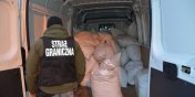 Funkcjonariusze Stray Granicznej zabezpieczyli ponad ton krajanki tytoniowej 