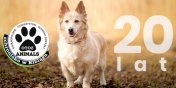 OTOZ Animals Schronisko w Elblgu ratuje zwierzta od 20 lat! - zobacz film z interwencji