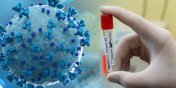 Koronawirus: 52 nowe zakaenia SARS-CoV-2 w Elblgu