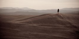 La Bella Toscana w fotografii Mi�osza Kulawiaka