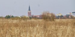 Publiczna dyskusja dotyczca budowy centrum handlowego na lotnisku