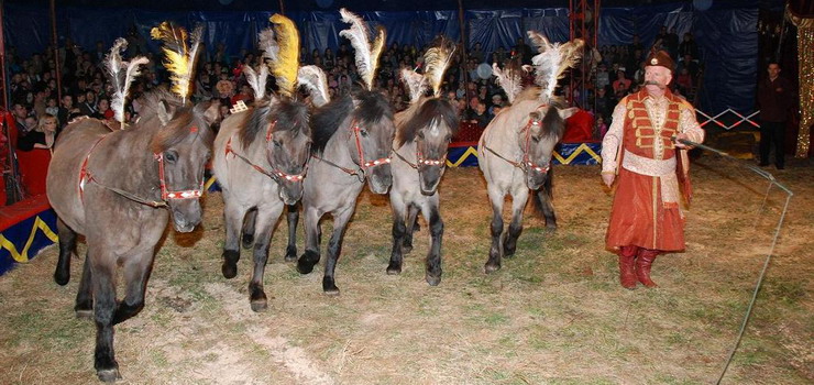 Magiczny Świat Cyrku Arlekin w Elblągu – wygraj bilety