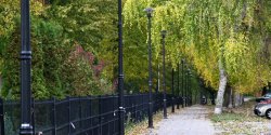 Latarnie ju� stoj� - wkr�tce o�wietl� �cie�k� przy cmentarzu Agrykola