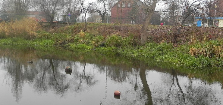 Dalszy cig baaganu nad rzek Elblg 