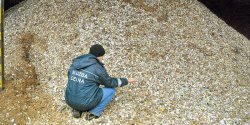 Setki tysi�cy paczek papieros�w posz�o na opa�