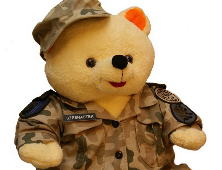 Miś 