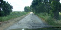 Dziury, muldy i wyboje. Ta droga to koszmar dla kierowc�w!
