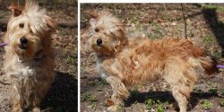 Zosta�a wyrzucona z jad�cego samochodu?