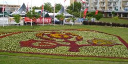 Kwiaty w kszta�cie EURO opanowa�y Elbl�g