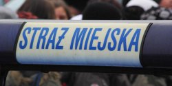 Strażnicy miejscy chcą dostać broń i siatki obezwładniające