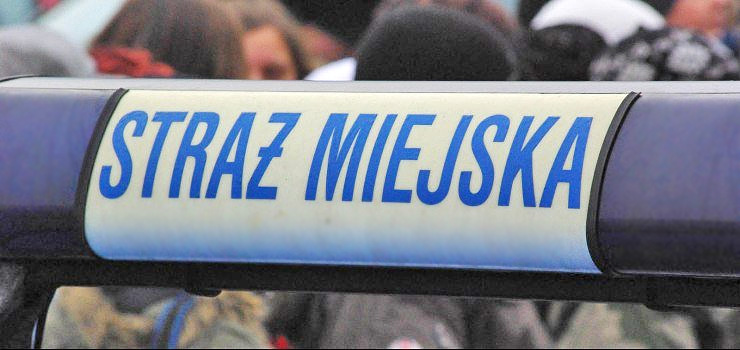 Właściciel dostanie mandat za biegającego luzem psa
