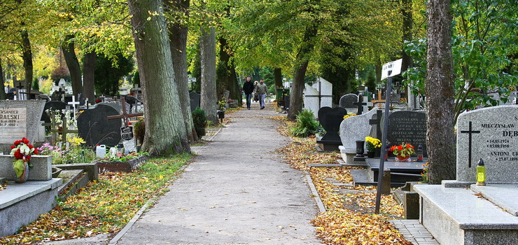 Lubienik grasuje po elblskich cmentarzach