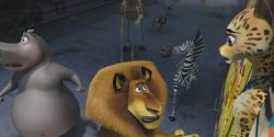 Madagaskar 3 3D- wygraj bilet