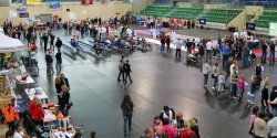 Przed nami II Targi Elbl�g Sport Expo