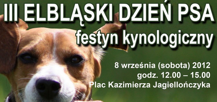 Masz psa- bd odpowiedzialny