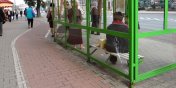 Wandalizm trawi elblskie przystanki 