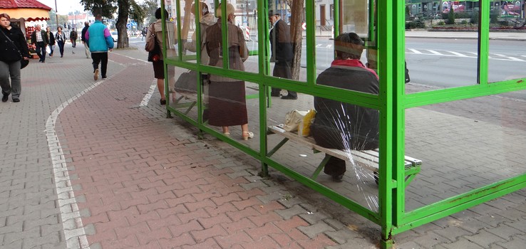 Wandalizm trawi elbląskie przystanki 