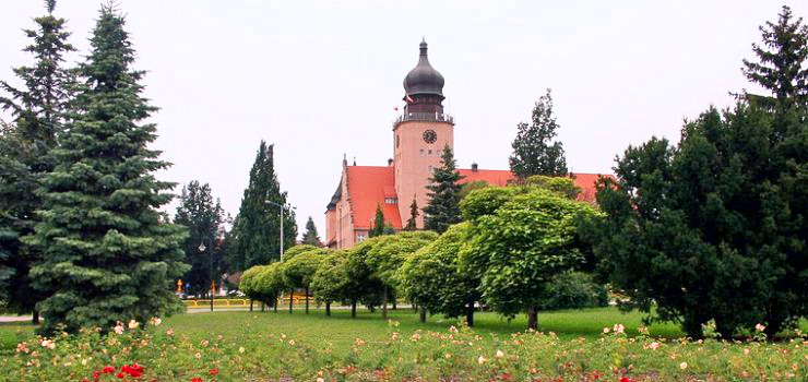 Stanowisko Miasta dot. wypowiedzi radnego Wilka w sprawie portu i misji do Chin