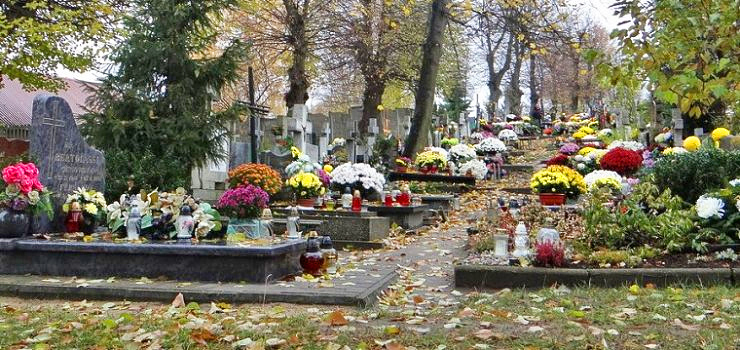 Groby na cmentarzu Agrykola bd  on-line?