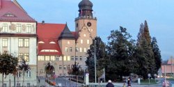 Czy w Elbl�gu pojawi si� asystent bezrobotnego?