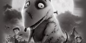 „Frankenweenie” 3D w Multikinie- wygraj bilet