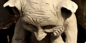CERAMIONY – rozstrzygnicie konkursu
