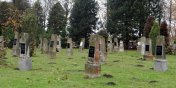 Zawr porozumienie z Wojewod, by utrzyma cmentarz wojenny