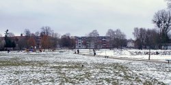 Nowe inwestycje na zielecu przy Mickiewicza – za pasem?