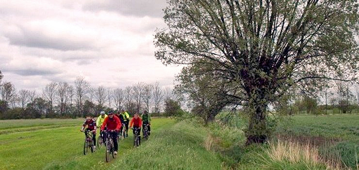 Wzdu Kanau Elblskiego powstanie Szlak Rowerowy Mennonitw