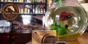 Restauracja Rybna Zota Arka zaprasza