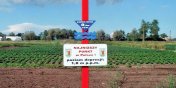 Raczki zdetronizowane. Znaleziono nowy, najniszy punkt w kraju