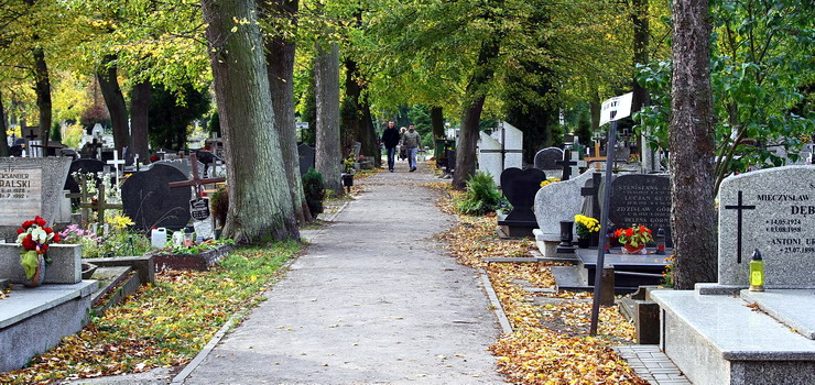 Zabraknie miejsc na wieczny odpoczynek? Miasto stworzy koncepcj budowy cmentarza komunalnego