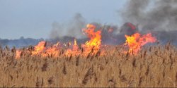 Straż Pożarna apeluje i ostrzega:Pożary traw coraz silniejsze...