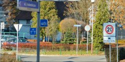 Opr�cz stanu zdrowia b�dziemy sprawdza� nasz� wiedz� z zakresu przepis�w drogowych?
