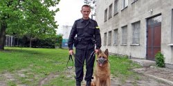 Pies i policjant - tandem do zada� specjalnych 