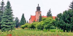 Zobacz, kto zosta� wybrany do nowej Rady Miasta w Elbl�gu
