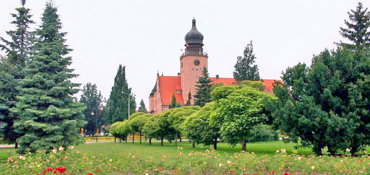 Zobacz, kto zosta wybrany do nowej Rady Miasta w Elblgu