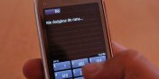 Elblg: Za smsy poszed… siedzie
