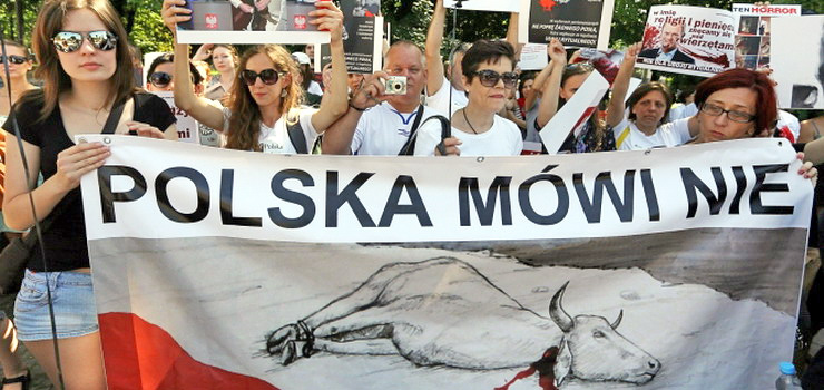 Elblanie bd dzi protestowali pod Sejmem ws. legalizacji uboju rytualnego