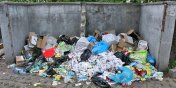  Zostaa uruchomiona bezpatna infolinia ds. gospodarki odpadami