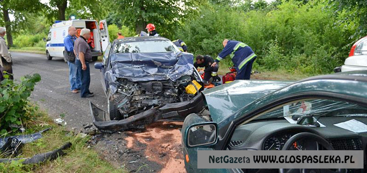Przed Rogajnami doszo do czoowego zderzenia. Rannych transportowano helikopterem