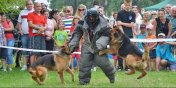 Pokazy odzi, tresury psw. Niedzielny festyn zakoczy wito Policji - zobacz fotorelacj