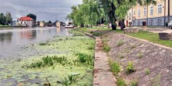 Nabrze�e rzeki Elbl�g. Je�li nie dalsza modernizacja to chocia� gruntowne porz�dki?