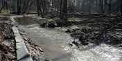 Na Zalewie Wilanym spokojnie, ale zagraa nam rzeka Kumiela