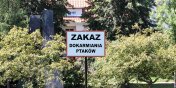 Uwaga mieszkacy! Nie wolno dokarmia ptakw w Parku Kajki