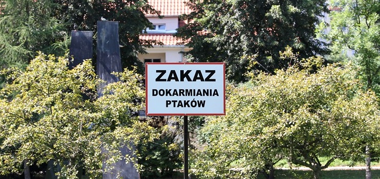 Uwaga mieszkańcy! Nie wolno dokarmiać ptaków w Parku Kajki