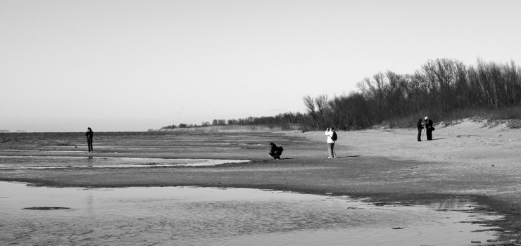 Różnorodność postrzegania