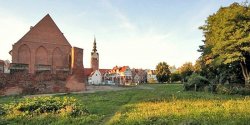 Stalowa yrafa, las supw i tam-tamy. Kreatywne podwrko na starwce pokae, co mu w duszy gra
