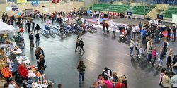 Elbl�skie Targi Sport Expo ju� we wrze�niu!
