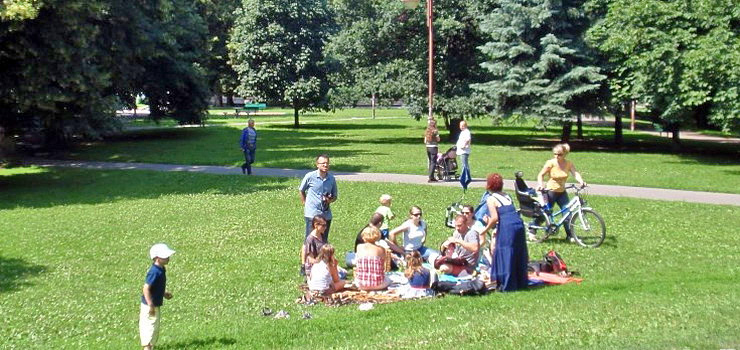 Elbląg jak Japonia. Tu piknikować w parkach można, ale... nikt nie chce